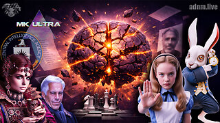 Terrain Glissant - Alerte Effondrement ! - live du 13/02/2026