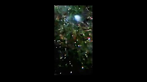 Stars in Focus & The Firmament by Mikey Smith (Video by DJ New Moon)