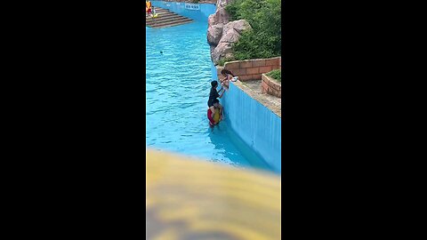 funny video 📹