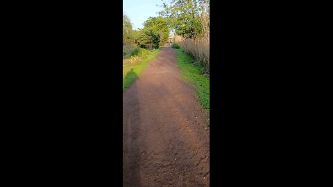 Mill Creek Secaucus NJ