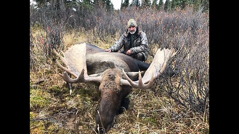 2 YUKON MOOSE in 3 DAYS