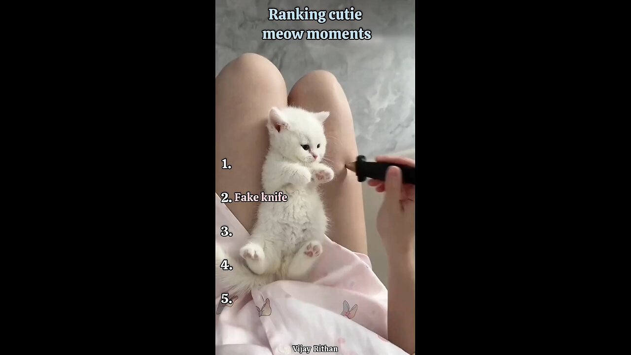 Ranking Cutie Moments
