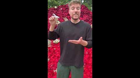 mrbeast