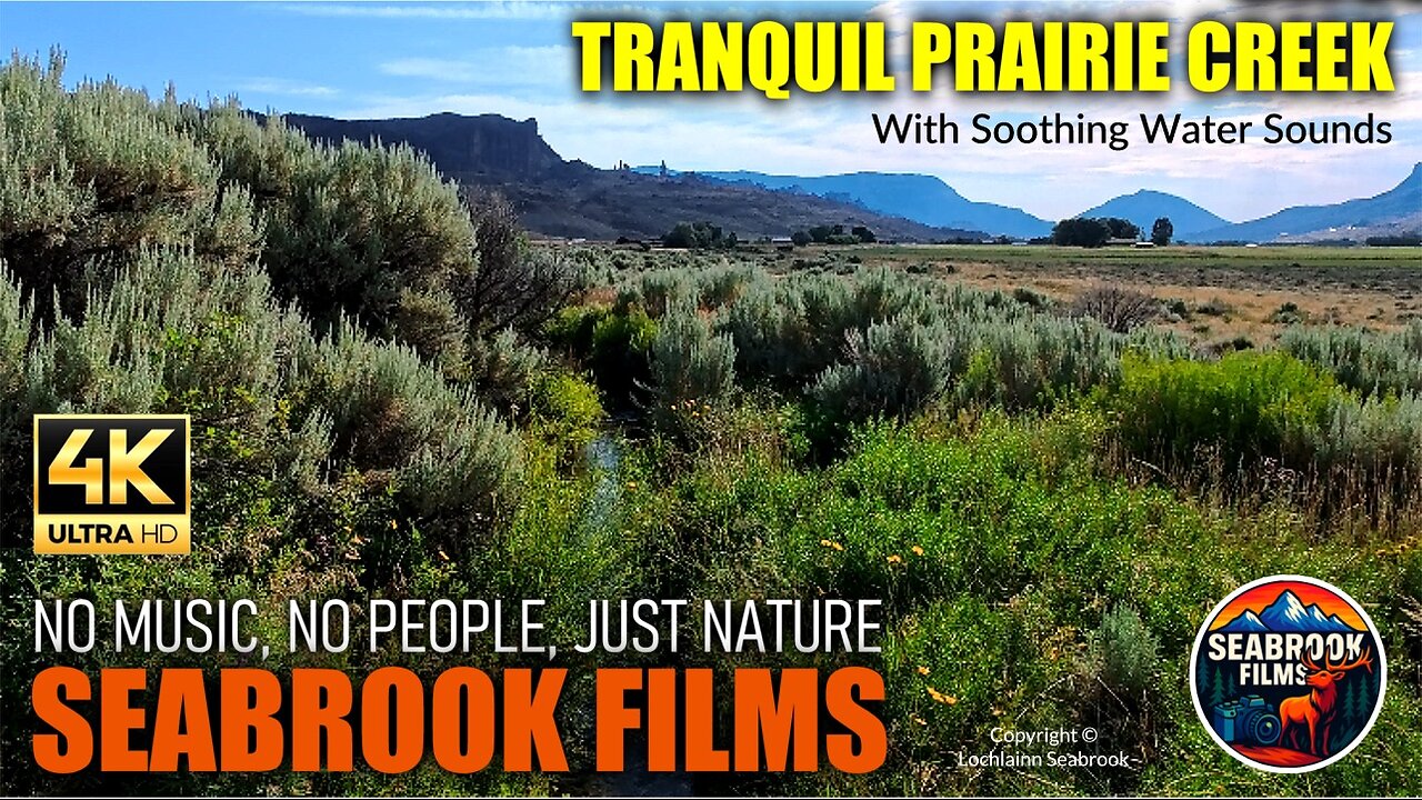 Tranquil Prairie Creek With Soothing Water Sounds