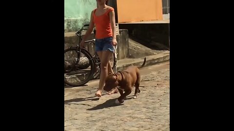 Training Dogs Barefoot