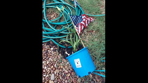 Near Tornadic Winds Last Night!