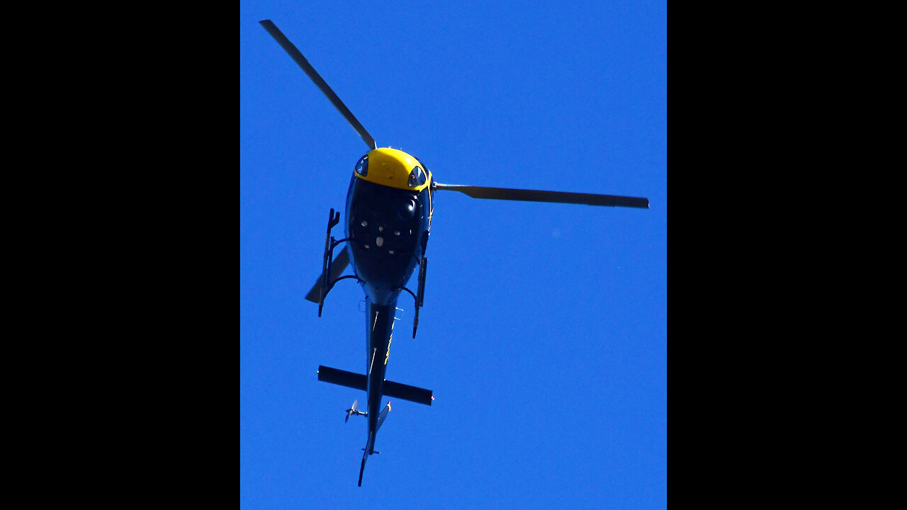 AIR GANG STALKER CAUGHT IN THE ACT