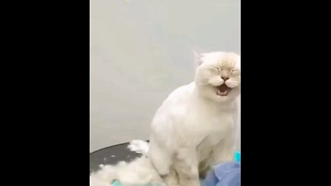 Ohhh noo