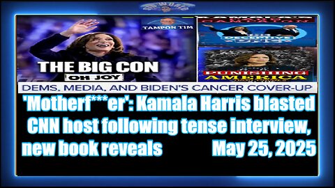 'Motherfer' Kamala Harris blasted CNN host following tense interview, new book reveals