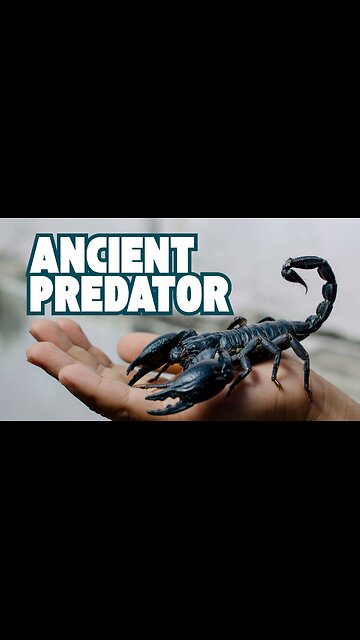 The Ancient Resilience of Scorpions: Nature's Fearsome Predators
