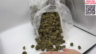 THCA SMALL BUDS is BACK Online with BIG Zookies and MORE!! The Dank Flamingo Review!!