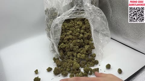 THCA SMALL BUDS is BACK Online with BIG Zookies and MORE!! The Dank Flamingo Review!!