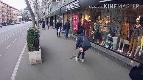 Funniest Snake Prank