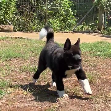 Today is Moms Birthday