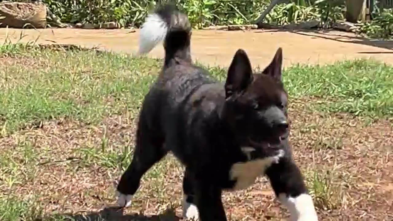 Today is Moms Birthday