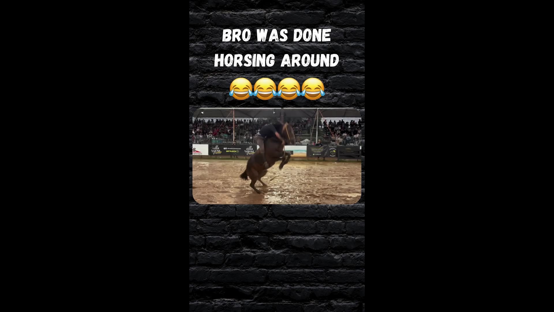 Horse was done horsing around