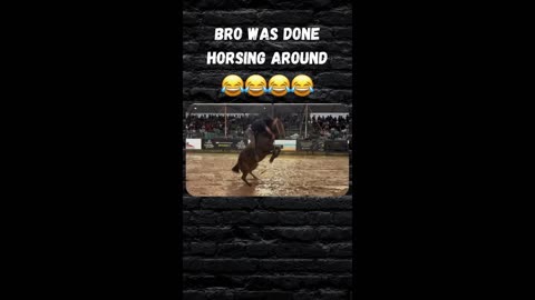 Horse was done horsing around