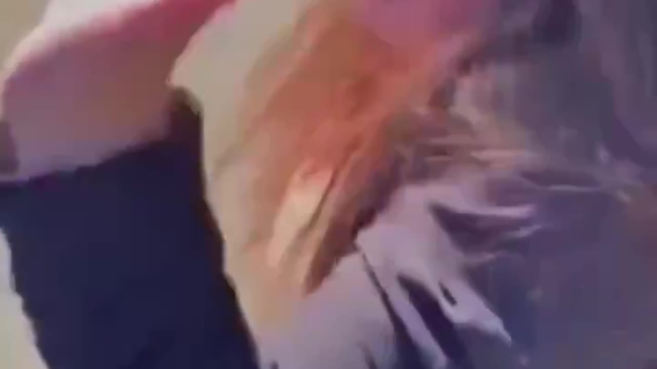 Sheboon Snaps On White Kid For Saying NoNo Word