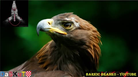 Branko Barkić - Live - 20-05-2021