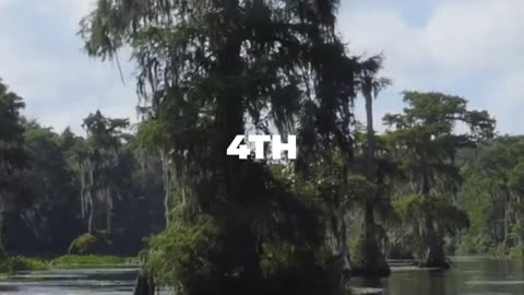 Jupiter Florida Travel Guide: 5 Things to Do In 2026