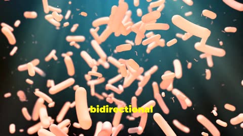 Heal Your Gut, Heal Your Mind: Gut Health = Mental Health