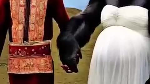 Gorilla Wearing Wedding Dress Causes Stir In Village #nature #animals #explore #happy #love #funny