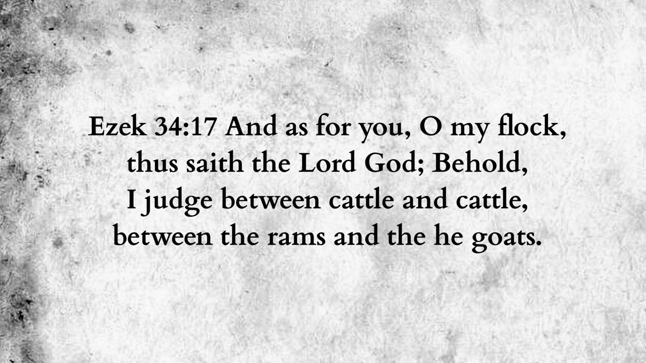 Martus Ministry -362- The Sheepfold