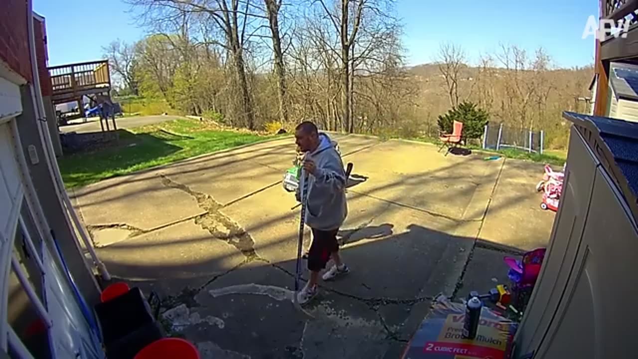 Funny videos 2025