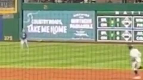 Spectator falls from the stands during Pirates game