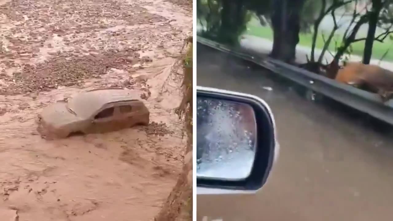 #Bolivia grappled with devastation as heavy rains triggered a national emergency, claiming 51 lives