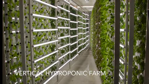 Vertical Hydroponic Farm made by FarmBox Foods