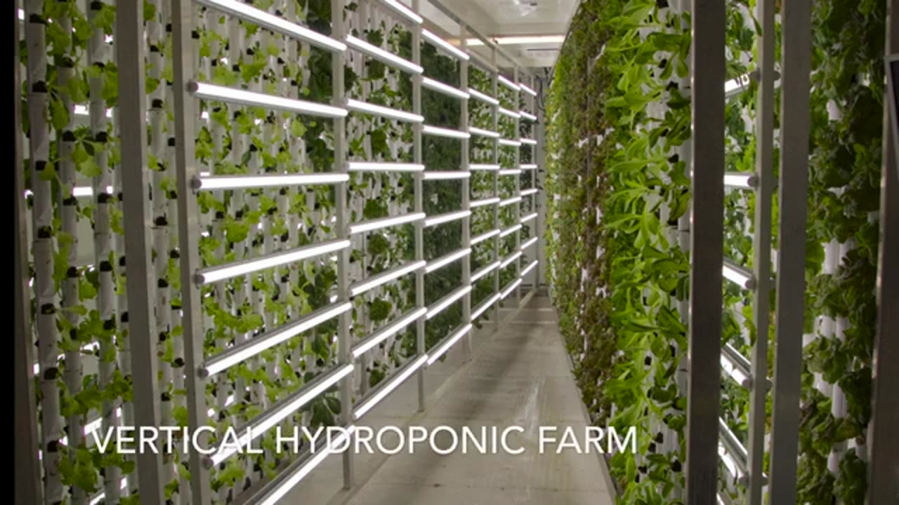 Vertical Hydroponic Farm made by FarmBox Foods