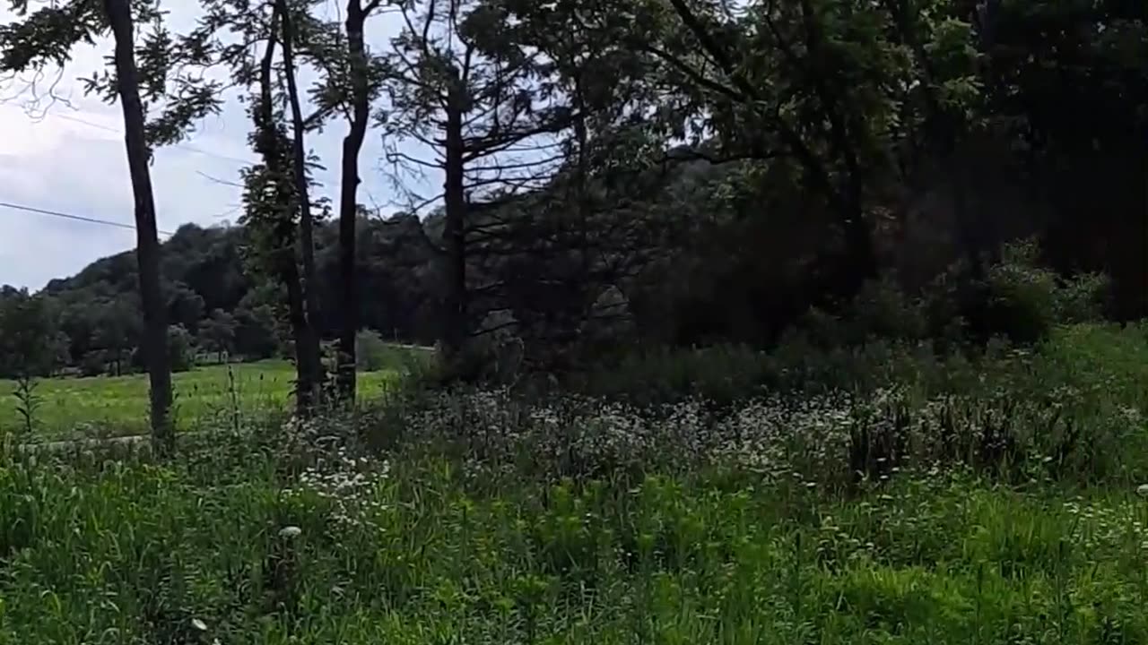 creepy old house smoke break