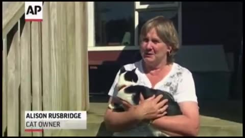 Man doesn't like cats