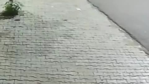 Agra Shocker: Bike-Borne Miscreant Snatches Phone From Girl on Road, CCTV Captures Incident