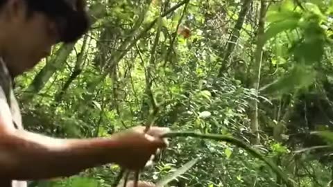 Dig to Build Complete & Warm Survival Shelter Part 2 #bushcraft #build