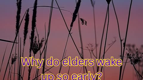 Old Age Sleeplessness Facts #AncientWisdom 📜 #SleepBetter 😴 #OldSchoolTips 🌙 #NapTime 🛏️ #ZenMode 🧘