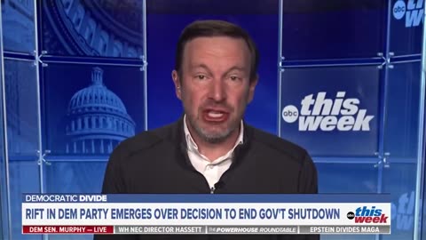 Americans are just going to have to suffer some pain so that Democrats can "save our Democracy"