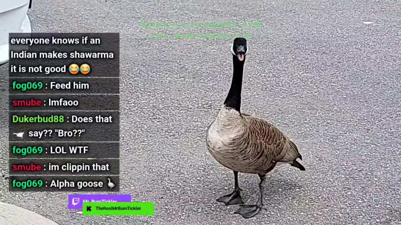 Yuh done know Goose is da real 416 shoota fam