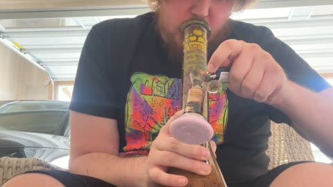 Day 476 The other cat finally came home this morning