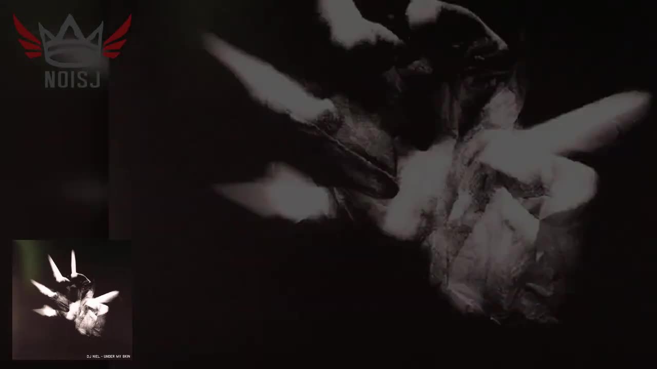 DJ Niel - Under My Skin