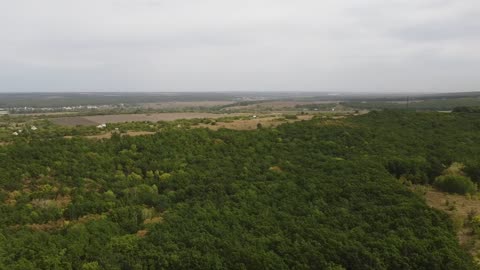 Groen gras, zacht bewogen door de adem van de wind