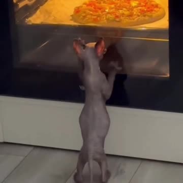 Leaving the oven light on to torment me 😂