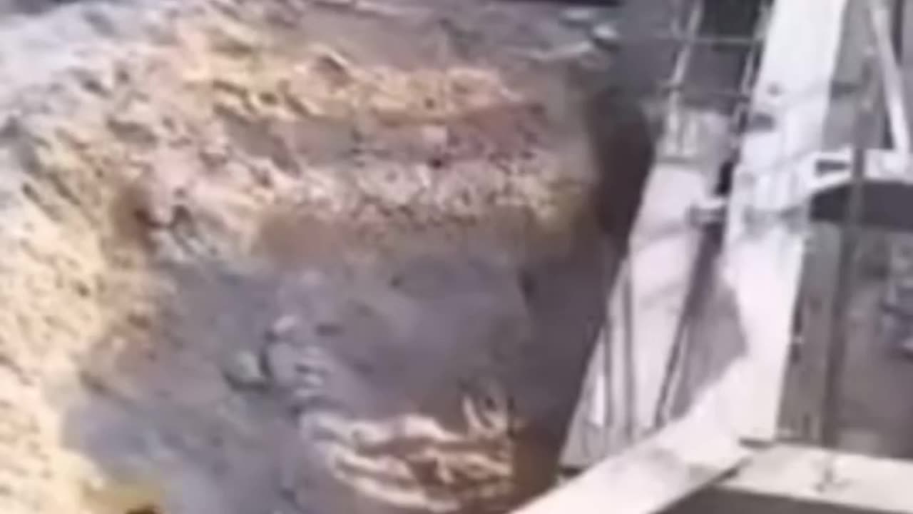 Funny video