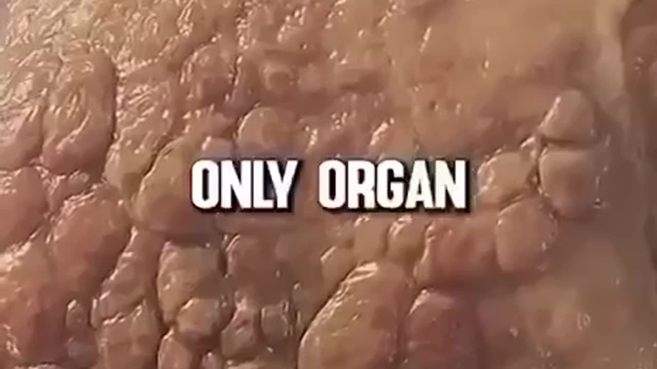 ‼️ CANCER STARTS IN THE GUT