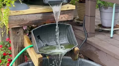 Rubbermaid 150 Gallon Goldfish Pond