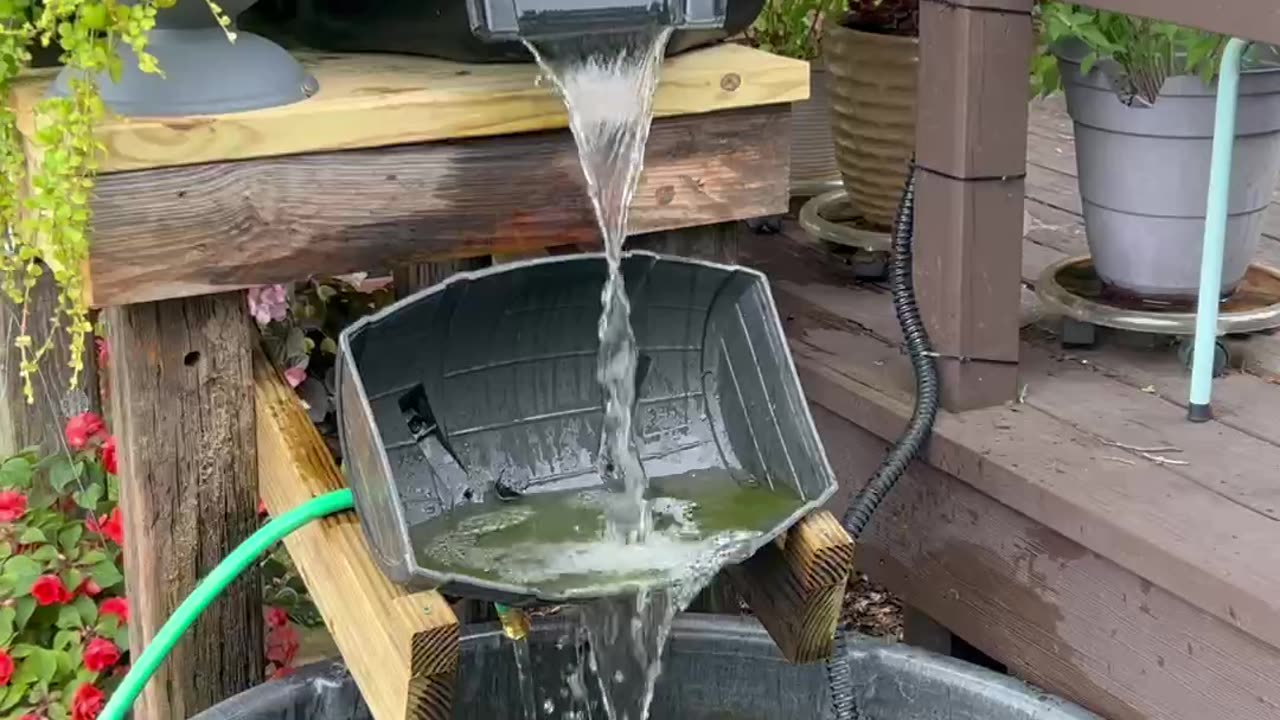 Rubbermaid 150 Gallon Goldfish Pond