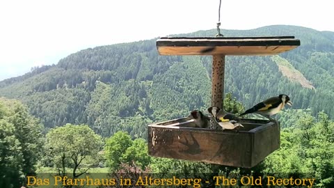 Old Rectory in Austria