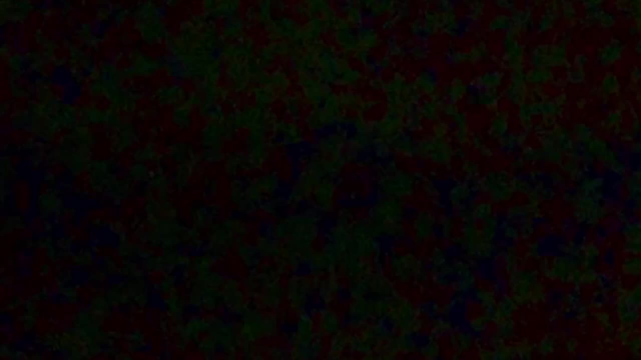 👽🛸 Object Vanishes in Mid-Air! What Is This?! | TheTruthAbove