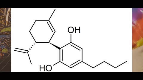 Tetrahydrocannabutol THCB and Hydrox4phc PHC Two Buds in a jar Ep 7